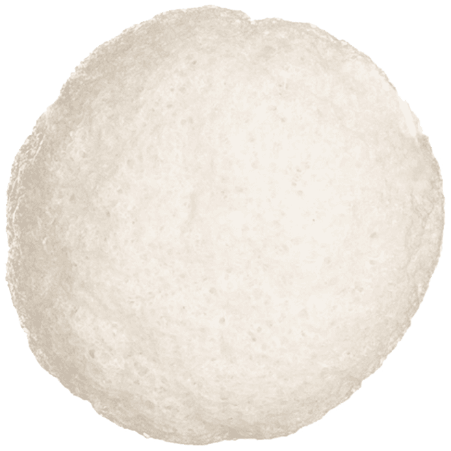 Yasumi Konjac Yam